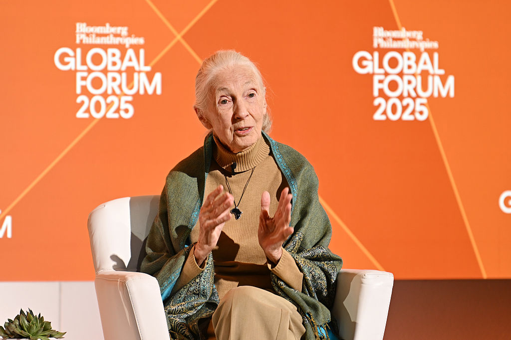 Bloomberg Philanthropies Global Forum 2025