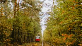 Railway tracks through a lush forest surrounded by autumn colors