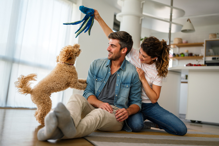 Happy couple playing with dog, having fun on floor at home. Married couple with cute pet