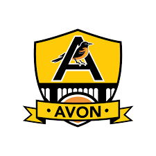 Current image: Avon Schools