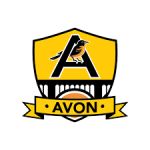 Current image: Avon Schools