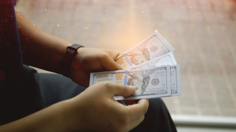 Counting Dollars, Finance and Financial Planning, Financial Investments, Work Income and Wealth