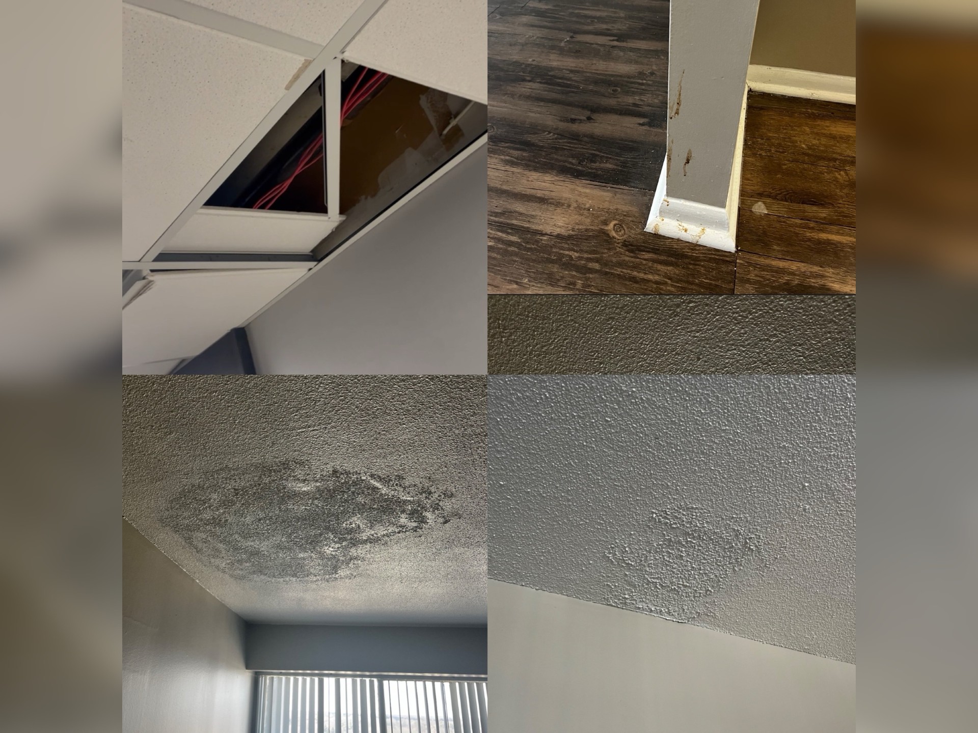 City View Living Conditions