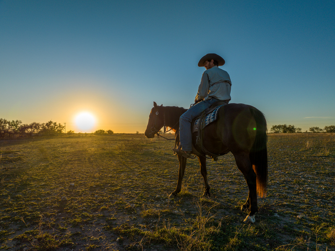Cowboy Man Riding Brown Horse in Grassy Field With Blue and Orange Sunset Sky