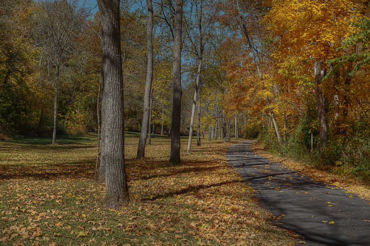 Indiana Autumn Drive