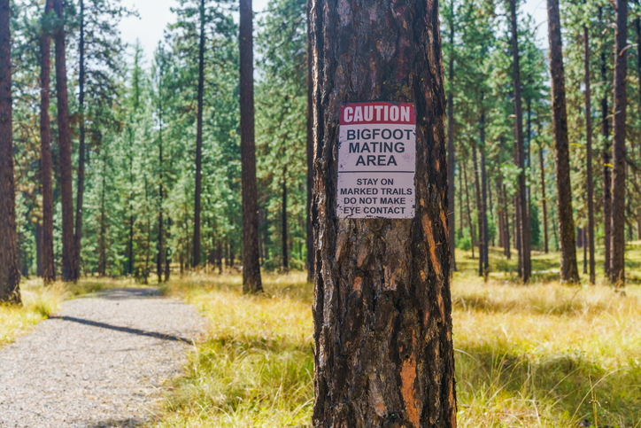 Bigfoot might be here