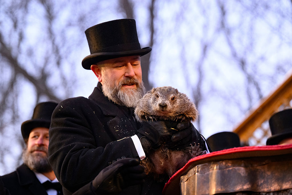 Punxsutawney Phil Looks For His Shadow On Groundhog's Day