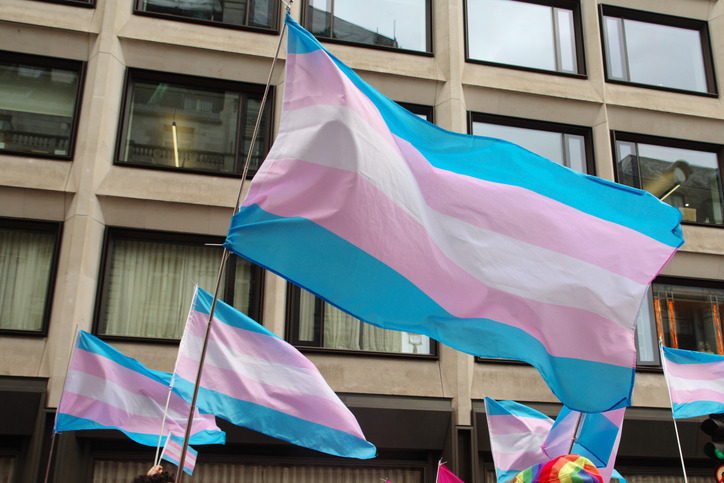 Transgender pride flags