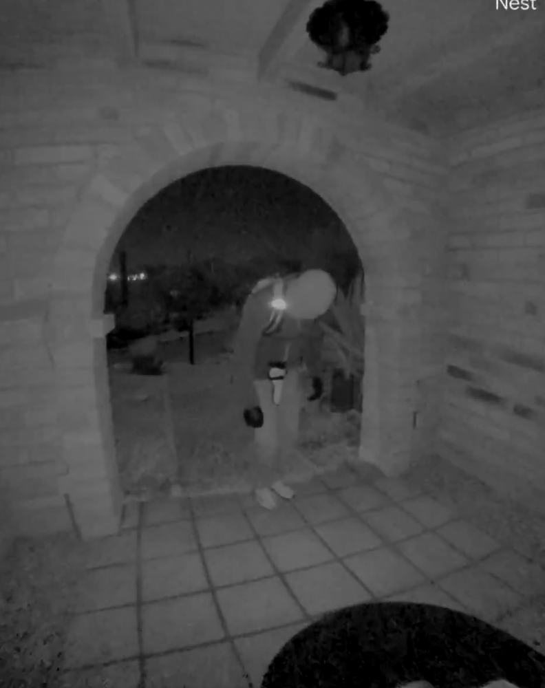 Surveillance Video: Masked Person