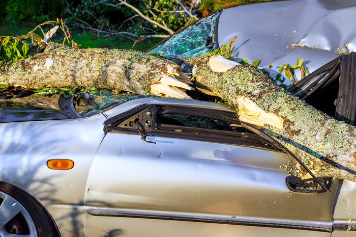 Silver car with large tree branch resting on it after storm damage in residential area