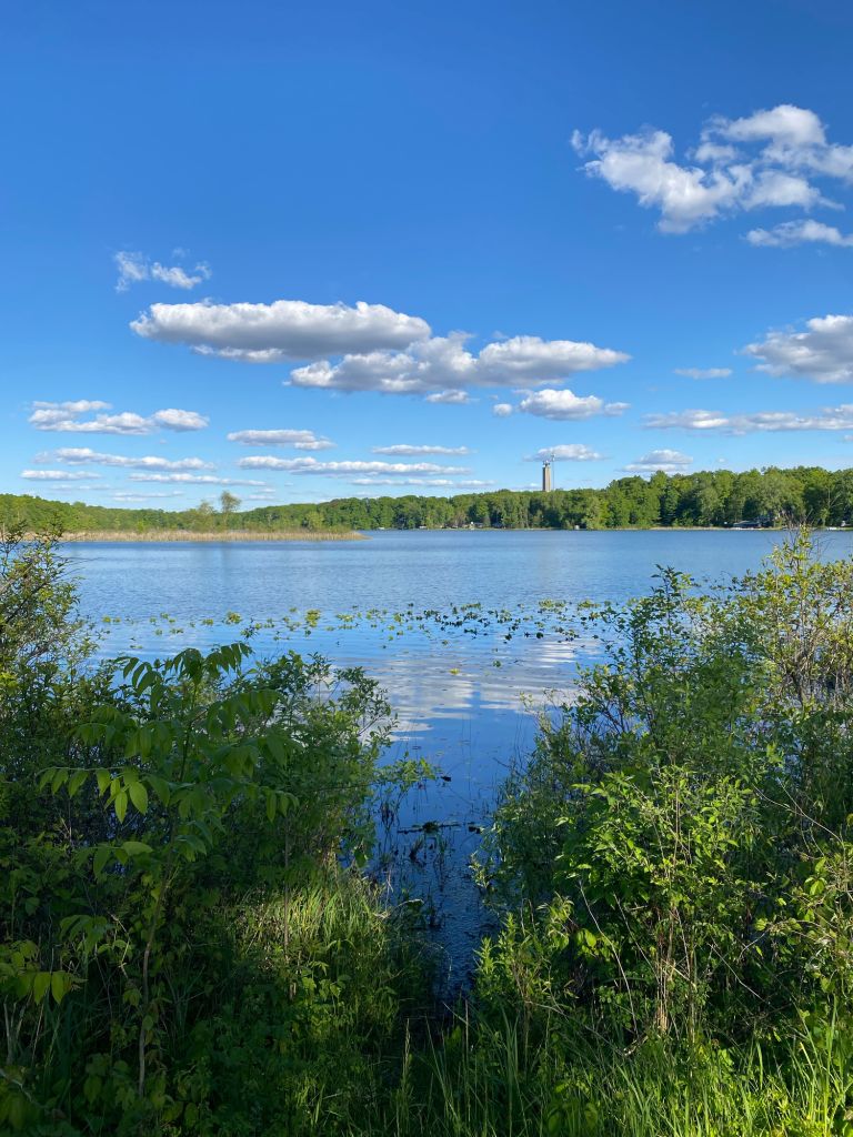 The scenery of wetland,Indiana,Angola