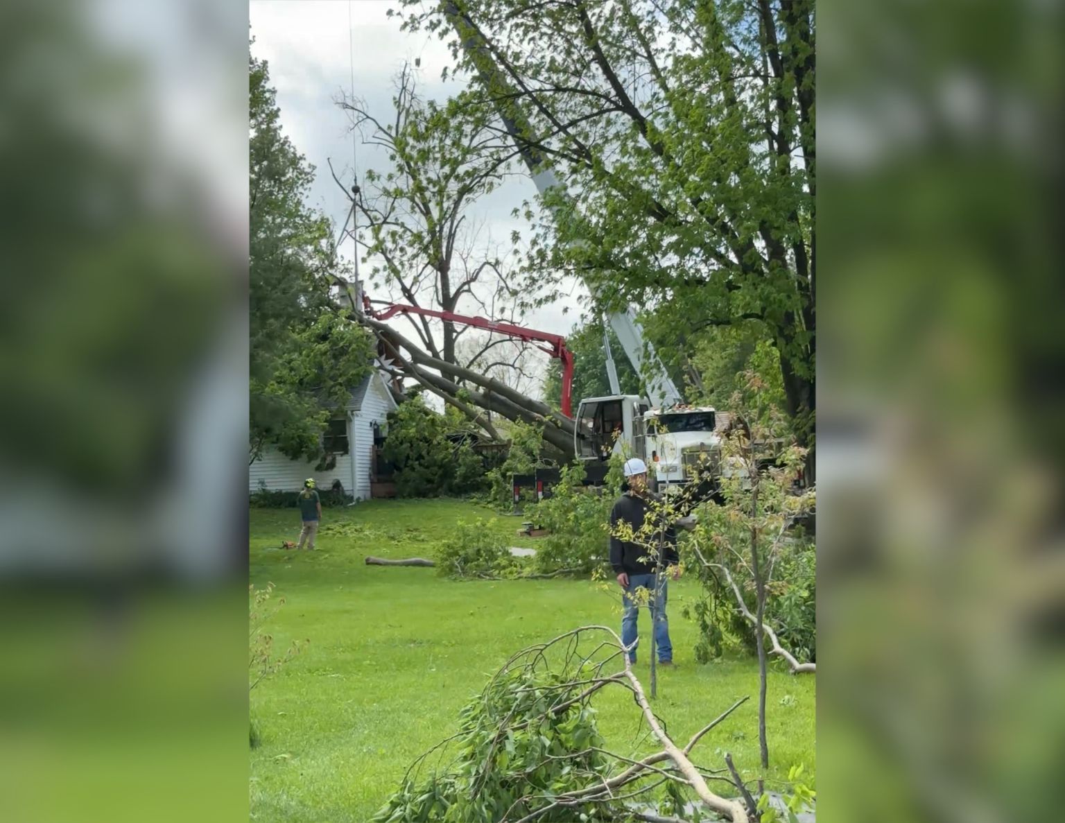 Trees Down, Damage in Johnson County Following Severe Storms