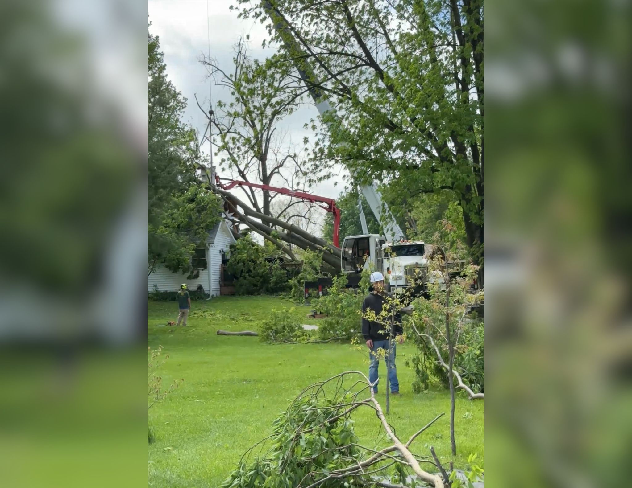 Trees Down, Damage in Johnson County Following Severe Storms