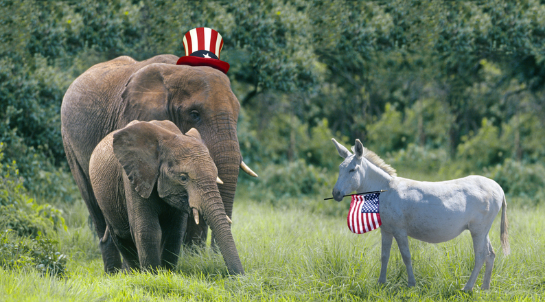 Liberals and Conservatives Square Off