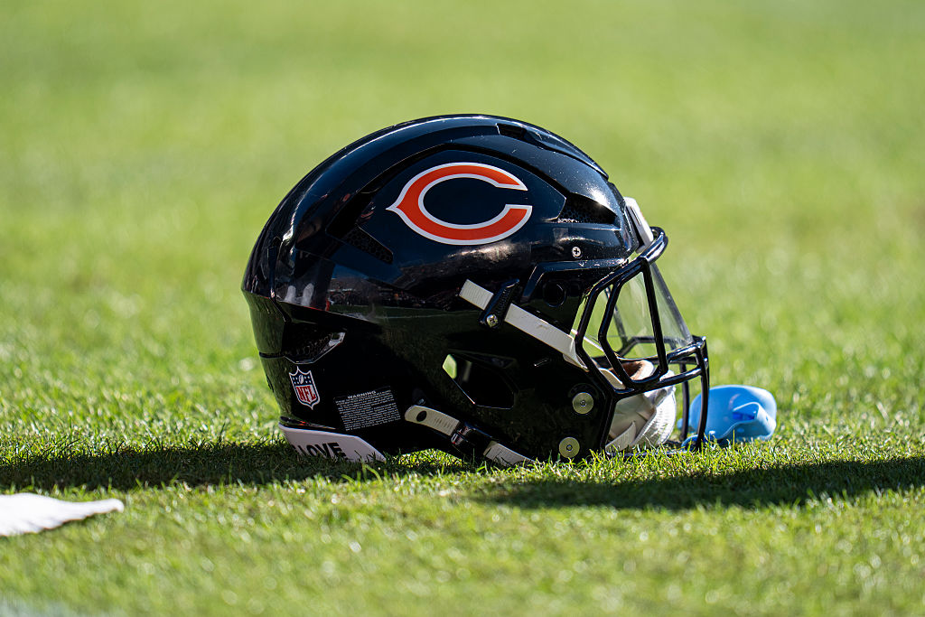 NFL: NOV 23 Steelers at Bears