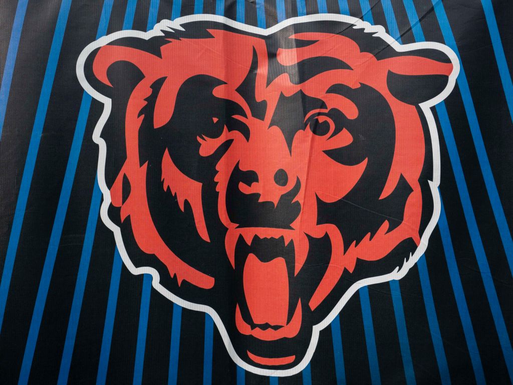 NFL: NOV 24 Vikings at Bears