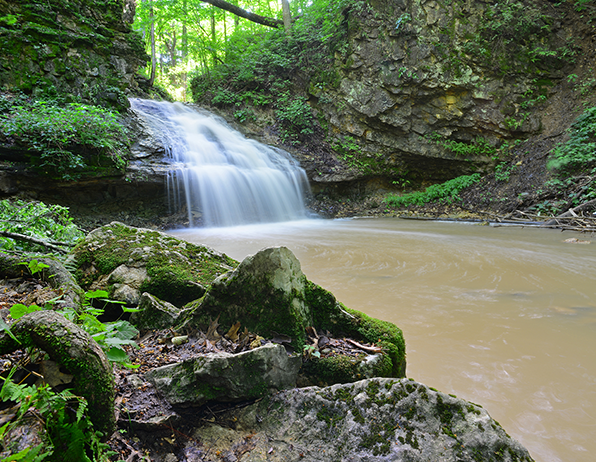A lush, green forest with a cascading waterfall flowing over mossy rocks into a shallow pool.