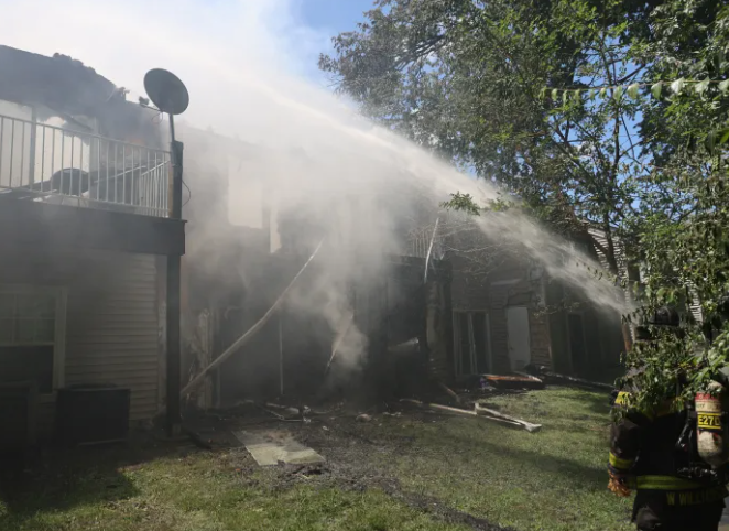 A building surrounded by trees is being sprayed with water, creating a thick mist.