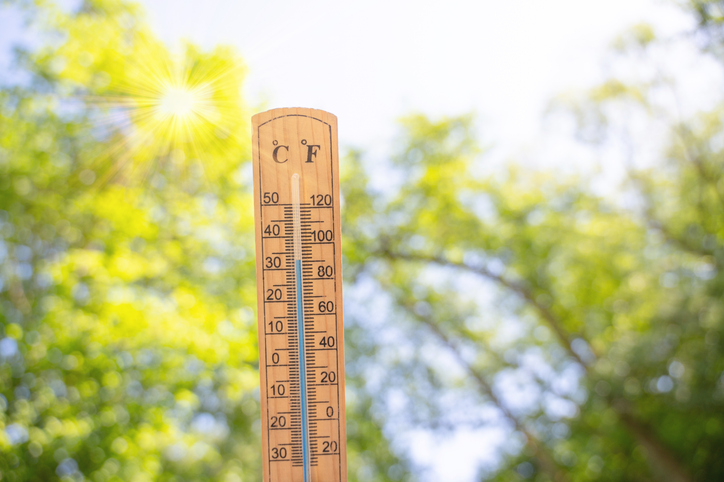 Thermometer, sunny hot day in summer, heatwave, weather forecast in summertime, measure the temperature, trees in forest