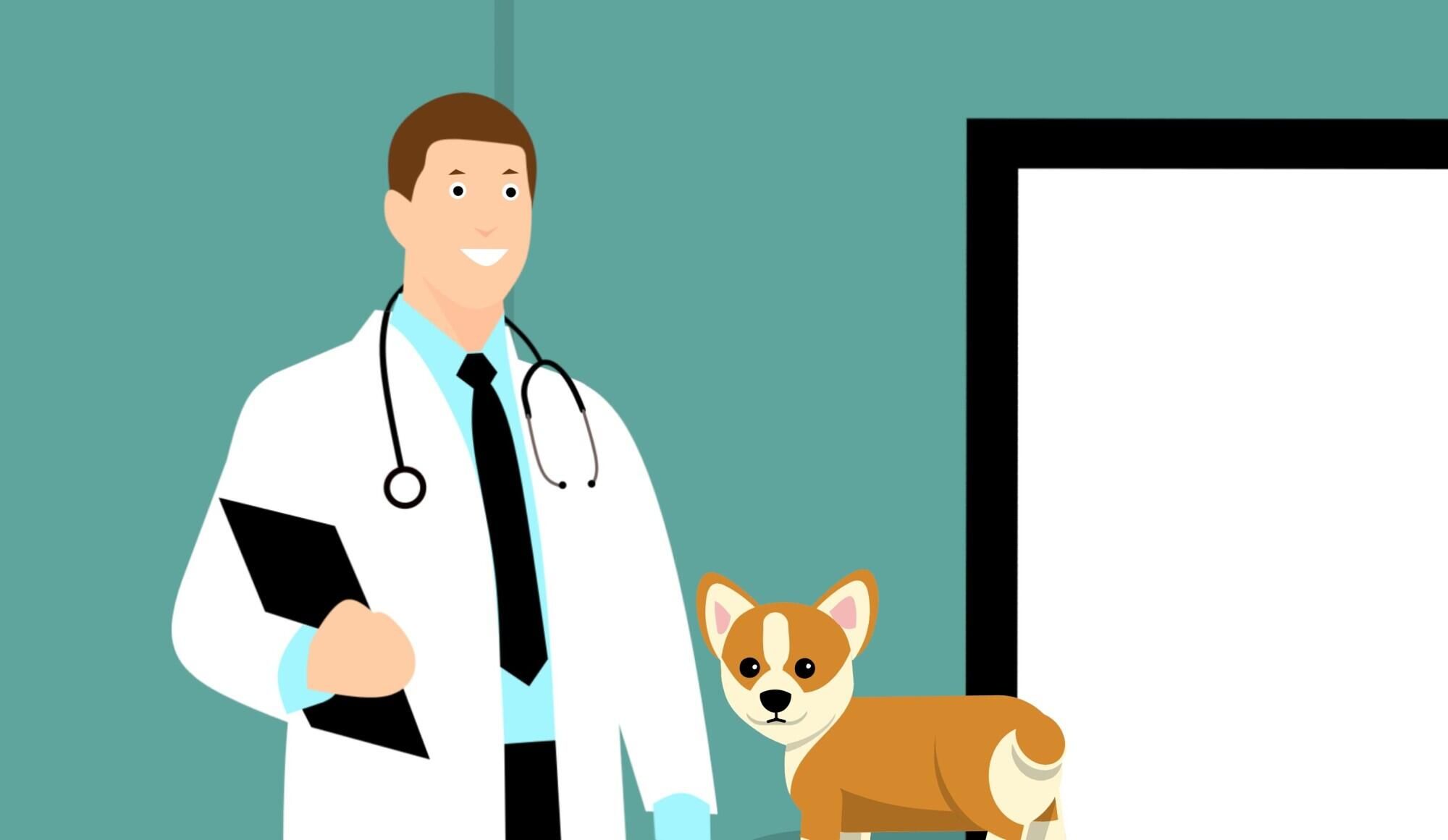 Rising veterinary care costs: Reshaping pet care and budget decisions