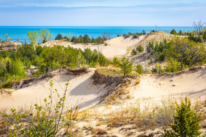 Sand Dunes and Lakeshore at Indiana Dunes National Park Indiana