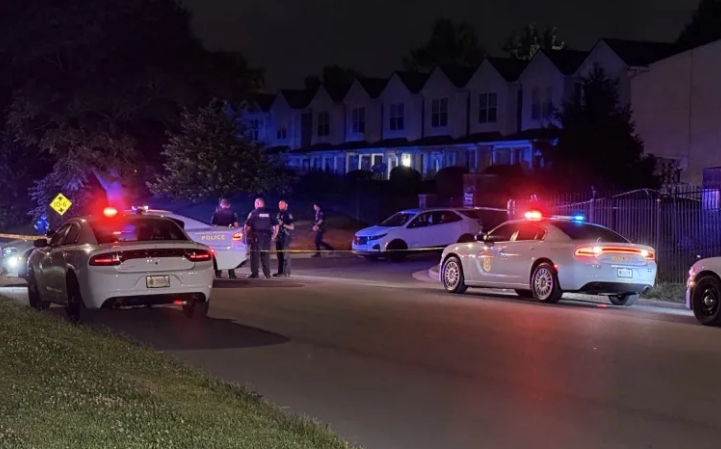 Police vehicles with flashing lights at a nighttime scene in a residential neighborhood.