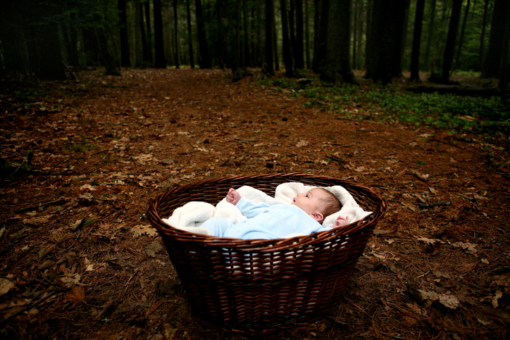 Young Brothers Exploring Woods in Maine