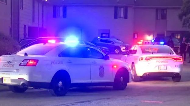 Police vehicles with flashing lights responding to an incident at night.
