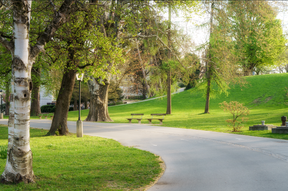 Park
