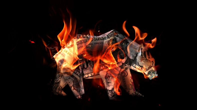 Dollar burns, bear awakens