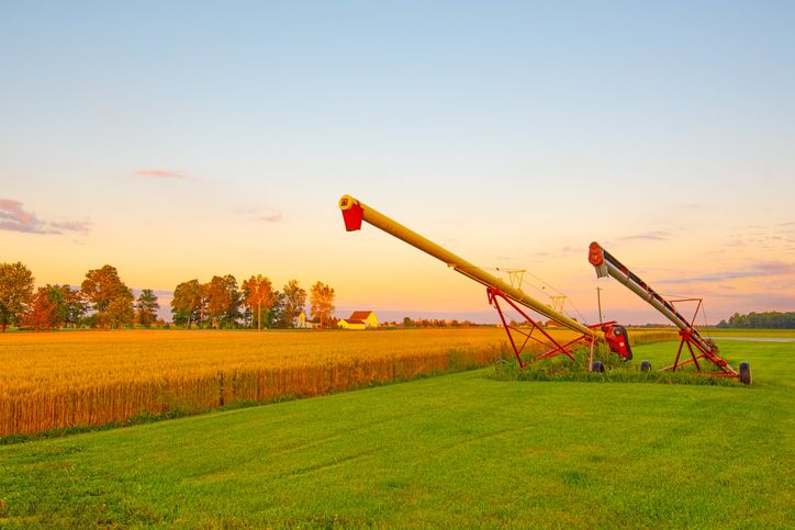 Winter Wheat Field at sunrise-with farm equipment - Tipton County, Indiana