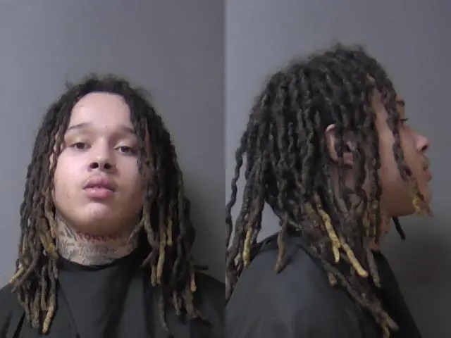 A person with dreadlocks wearing a black shirt against a gray background.