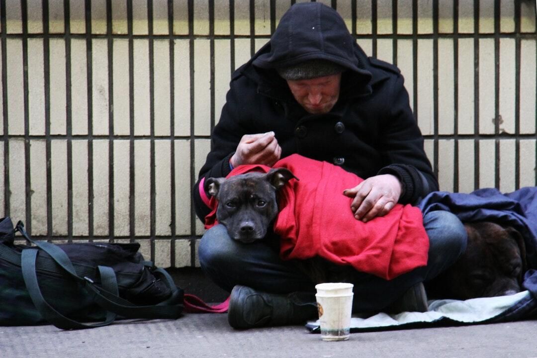 What will it take to end homelessness? Experts weigh in