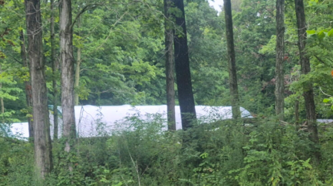 Dense forest with a white van or trailer partially visible through the trees.