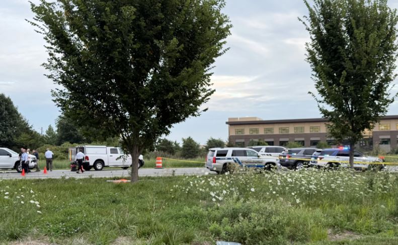 Outdoor scene with police vehicles and personnel in a grassy area with trees.