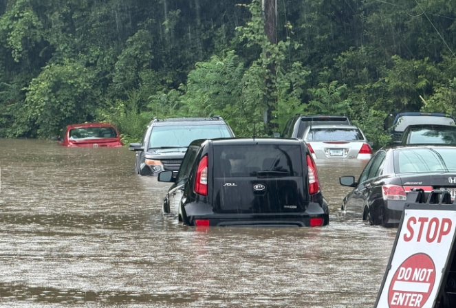 Flooded street with several submerged vehicles, with a "STOP DO NOT ENTER" sign visible.