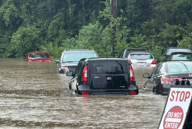 Flooded street with several submerged vehicles, with a "STOP DO NOT ENTER" sign visible.