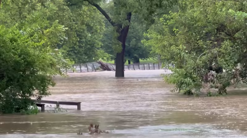 A flooded park with benches and a tree partially submerged in the rising water.