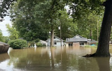 Flooded residential neighborhood with houses partially submerged in standing water, surrounded by trees.