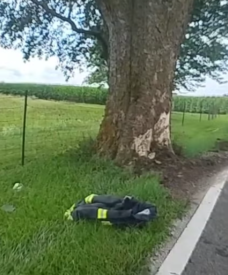 A backpack lying on the grass under a large tree in a grassy field.