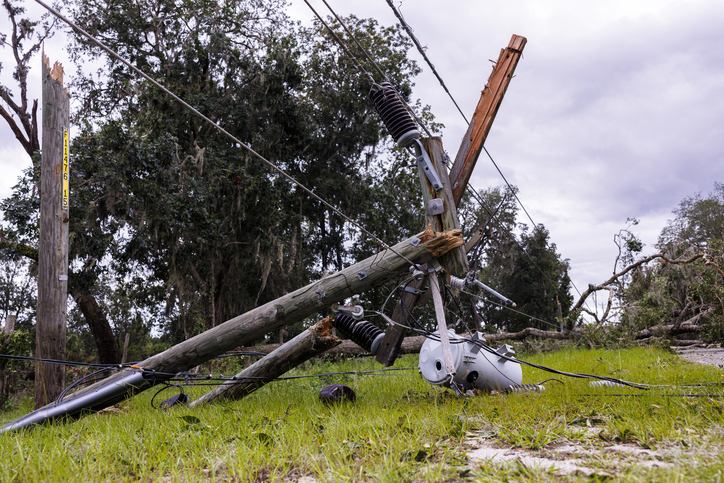 Broken power line with cables make blackout in Steinhatchee, North Florida. Knocked down tree broking electric pole in the field. Close up