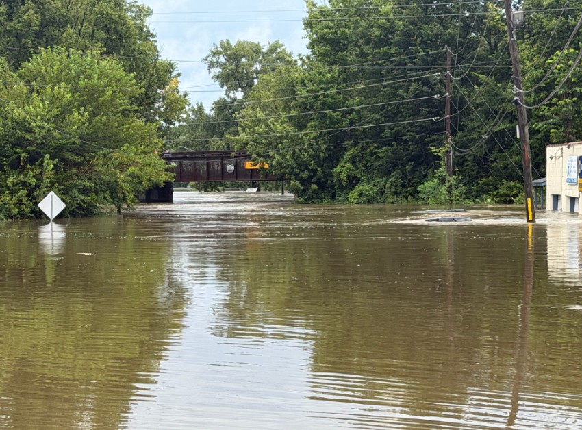 Flooded street with submerged road signs and utility poles surrounded by trees.